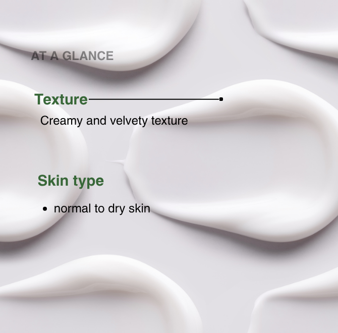 ALOE + HA MOISTURIZER CREAM - The ALOELAB