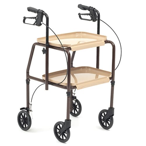 Combination Wheeled Trolley Walker