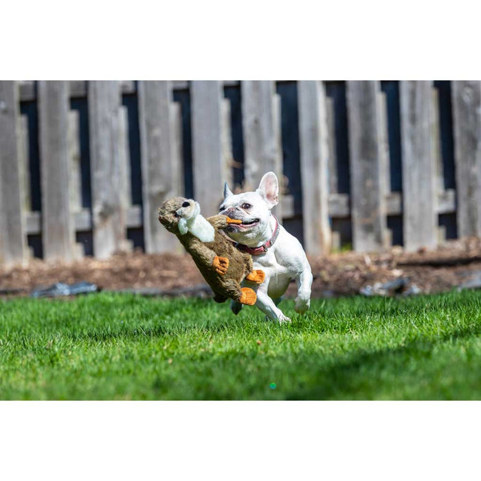 Dog playing with Harry the Otter Plush Toy