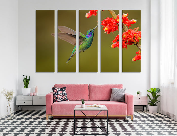 Hummingbird Drinking Nectar Canvas Print #8058
