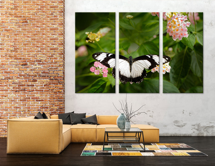 Motley Butterfly Canvas Print #8053