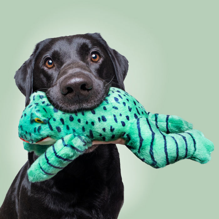 Dog playing with Oliver Frog Plush Toy