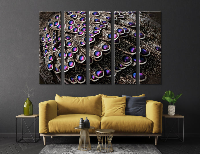 Peacock Feathers Canvas Print #8035