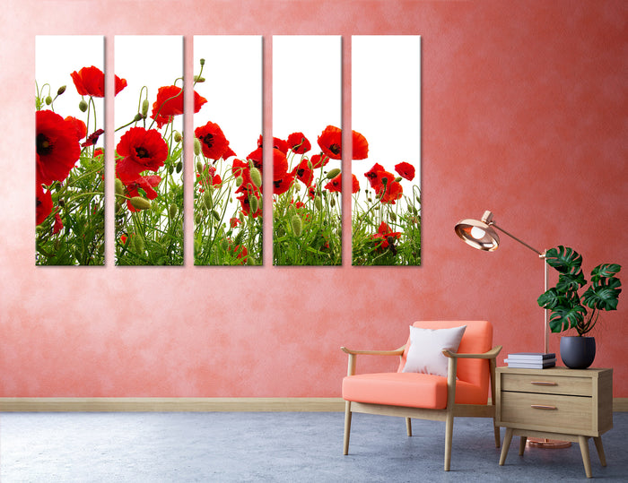Poppy Field Wall Poster