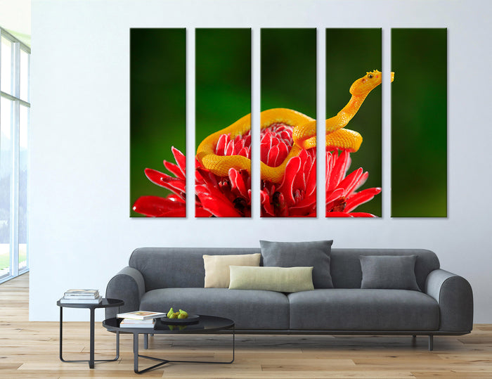 Snake Canvas Print #8030