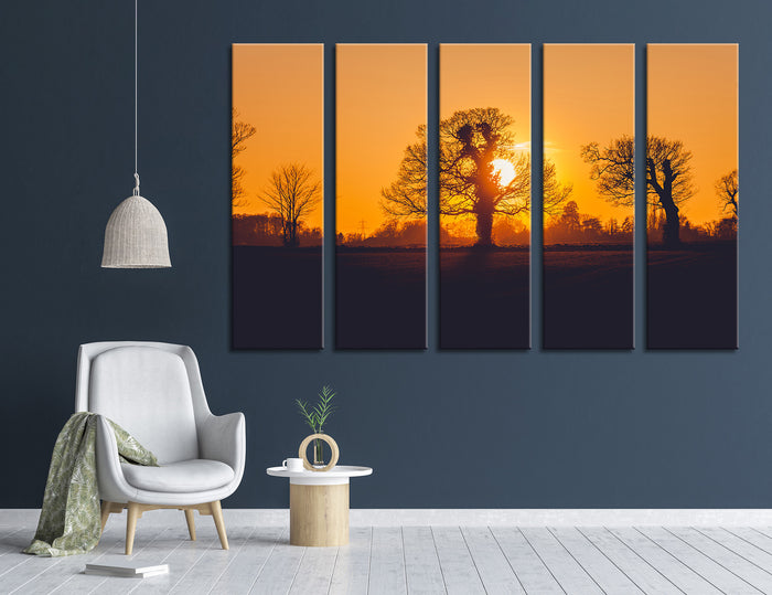 Solar Rays Pass Tree Branches Winter Canvas Print #7122