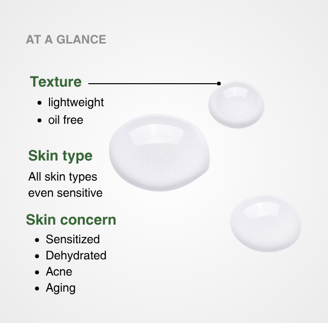 ALOE 2% HYALURONIC ACID + B5 SERUM - The ALOELAB