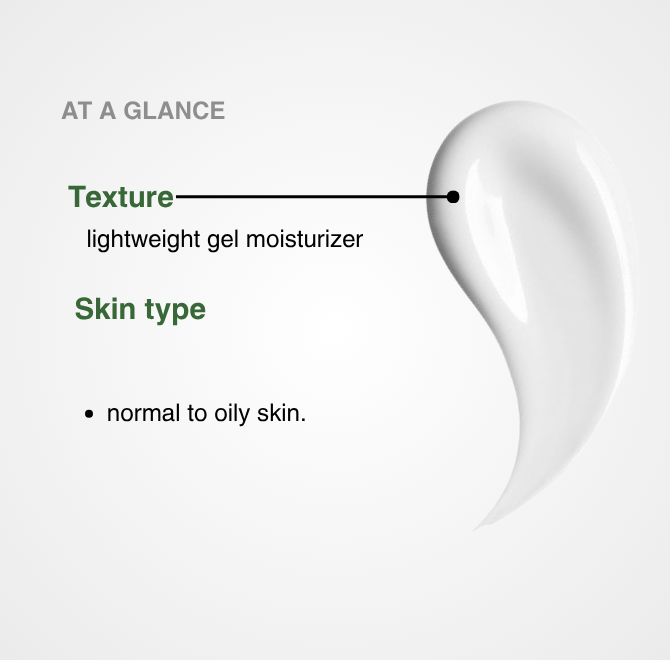 ALOE + HA MOISTURIZER GEL - The ALOELAB