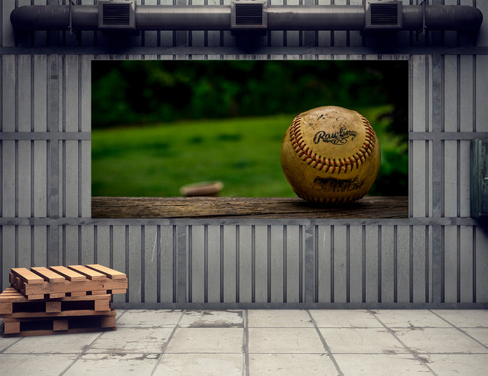 Baseball Decor Canvas Print #4054