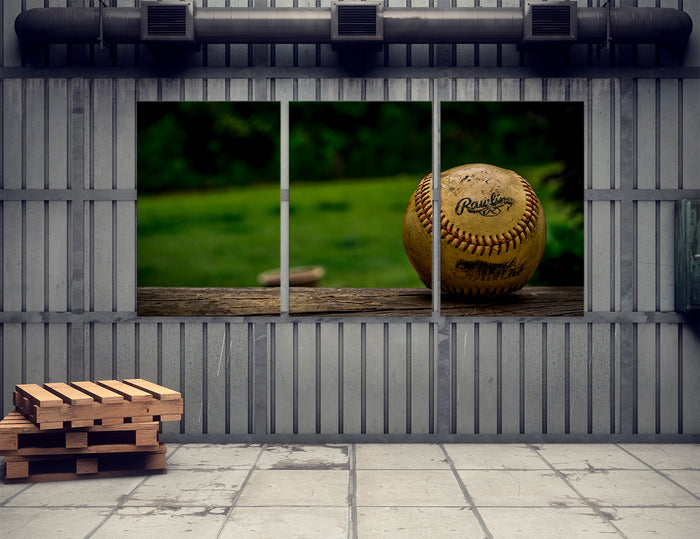 Baseball Decor Canvas Print #4054