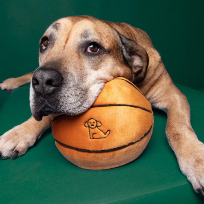 Dog laying on Basketball Plush Toy