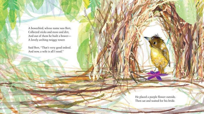 Bert the Bowerbird