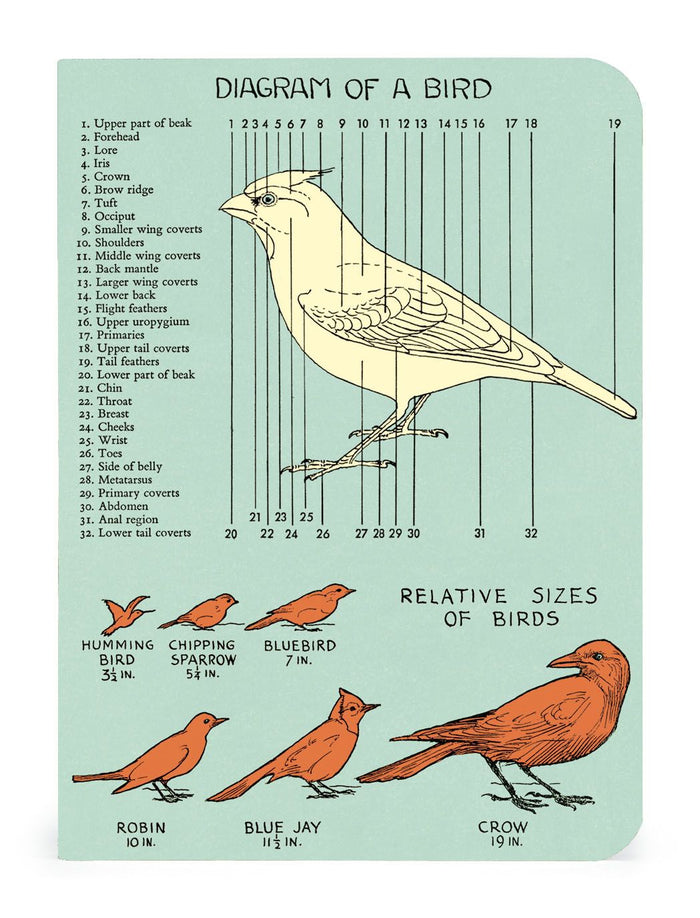 Bird Watching Mini Notebooks 3-pack