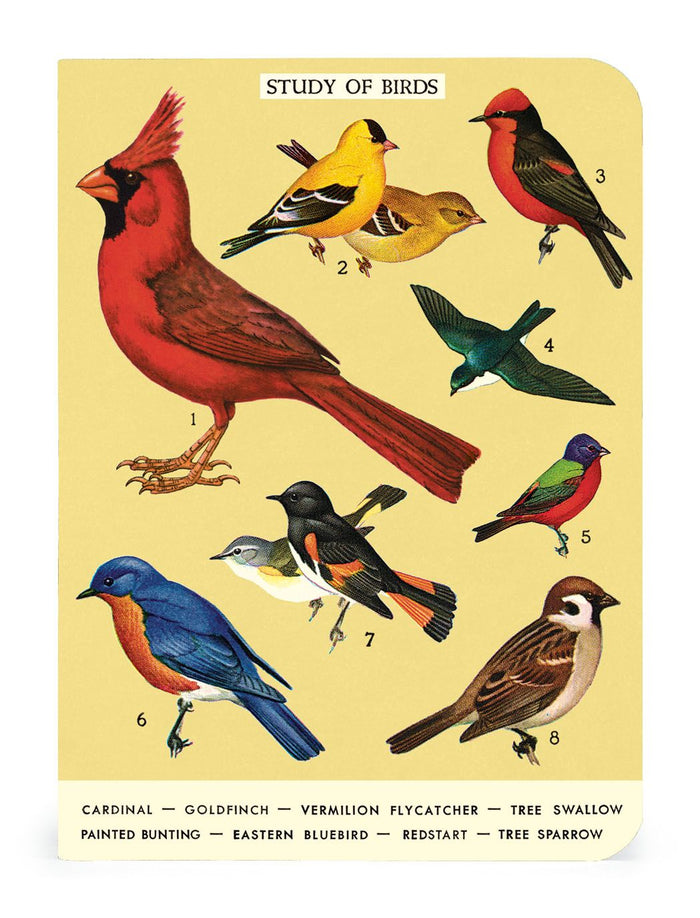 Bird Watching Mini Notebooks 3-pack