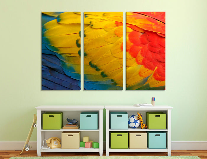 Bright Feathers Canvas Print #8034