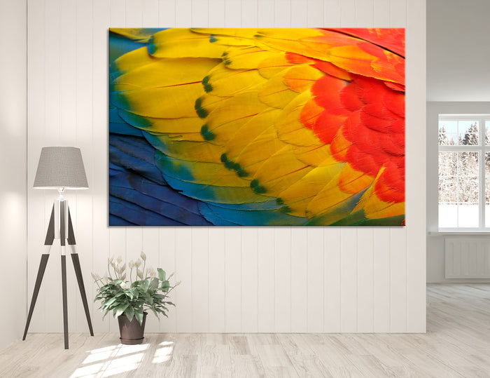 Bright Feathers Canvas Print #8034