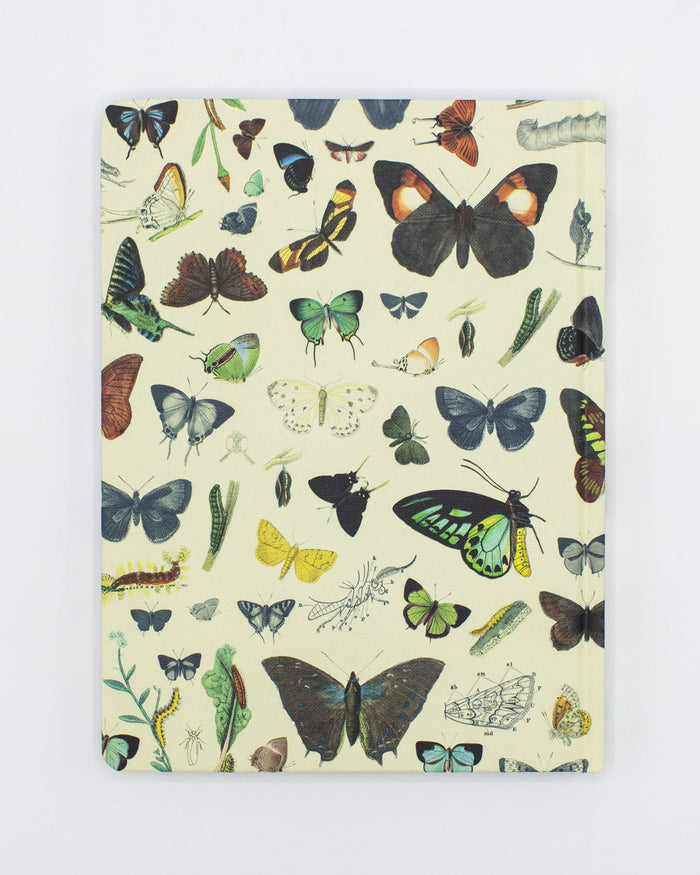 Butterflies Hardcover Lined/Grid Notebook