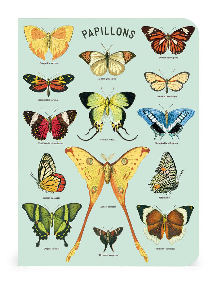 Butterflies Mini Notebook 3-pack