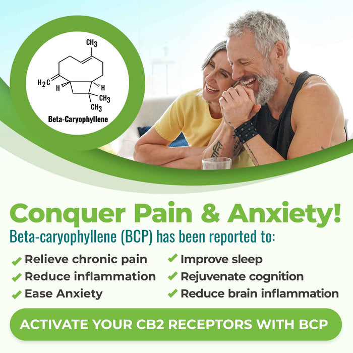 CANNANDA CB2 HEMP SEED OIL >> Vegan Softgels (70 Vegan Softgels)
