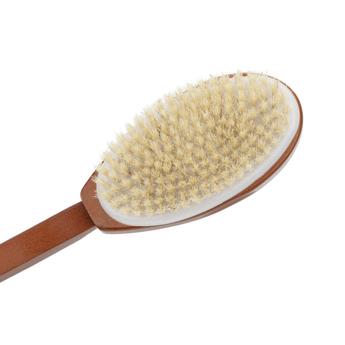 CareWorth Long Handled Brush