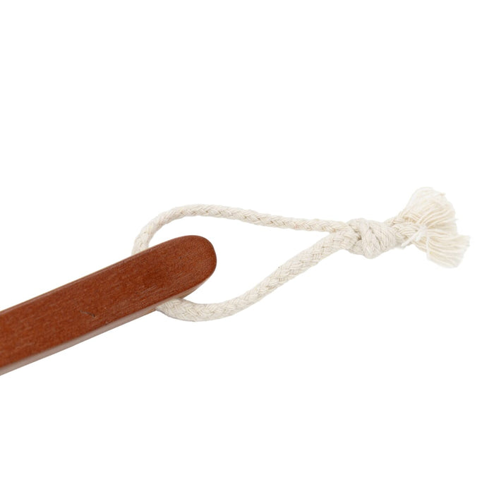 CareWorth Long Handled Brush