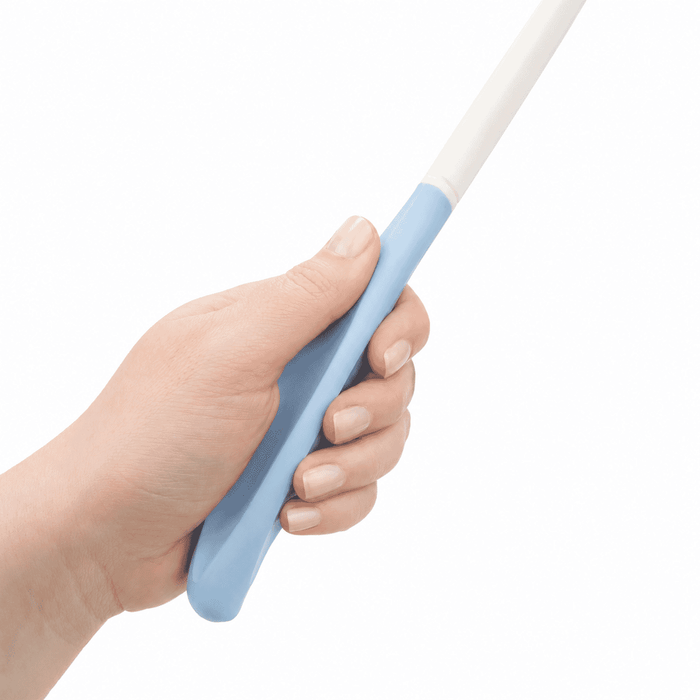 CareWorth Long Handled Comb