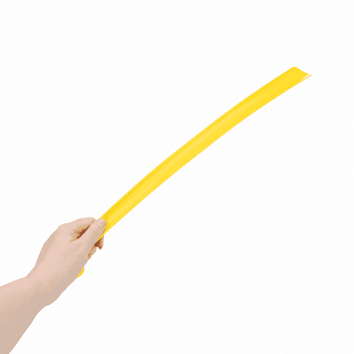 CareWorth Long Handled Shoe Horn