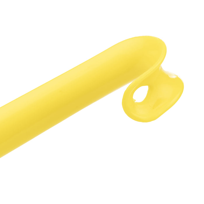 CareWorth Long Handled Shoe Horn