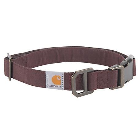 Carhartt Field dog collar in deep wine