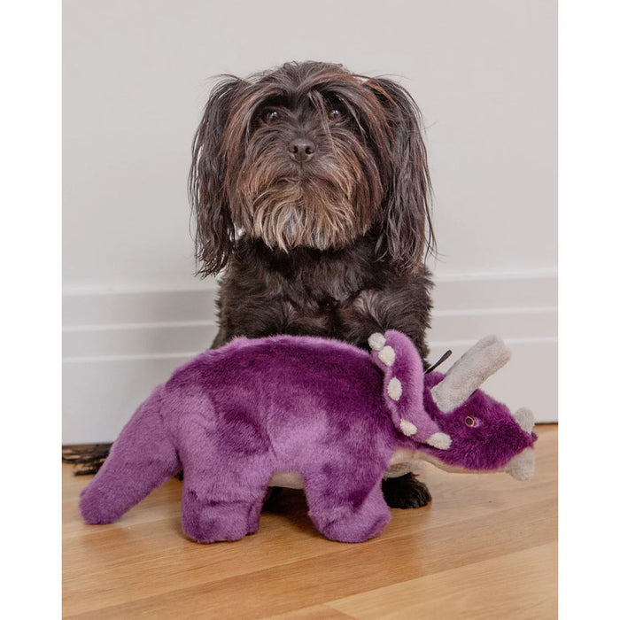 Dog with Charlie the Triceratops Plush Toy