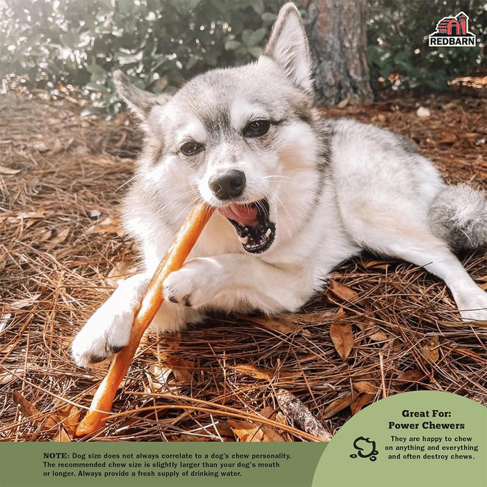 Dog chewing Collagen Stick Large 3 Pack