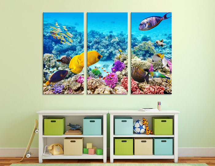 Coral Reef Fish Canvas Print #7130