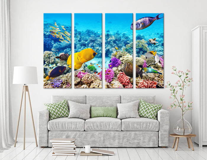 Coral Reef Fish Canvas Print #7130