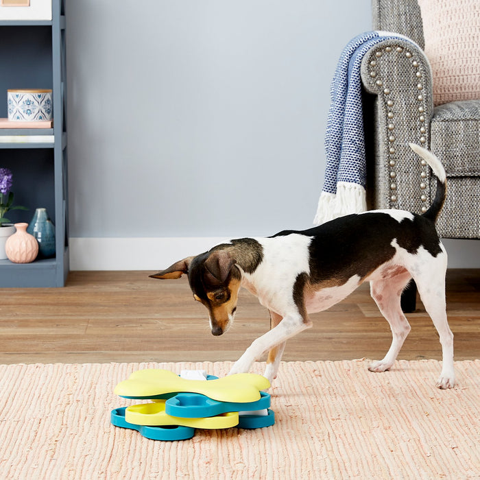 Dog playing with Dog Tornado Puzzle Game Toy