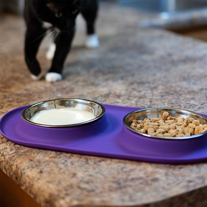 Double Silicone Feeder with Stainless Saucer Shaped Bowl on countertop