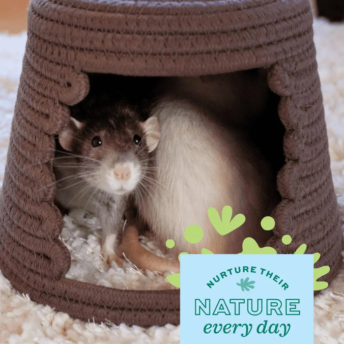 Rats in Enriched Life - Woven Hideout