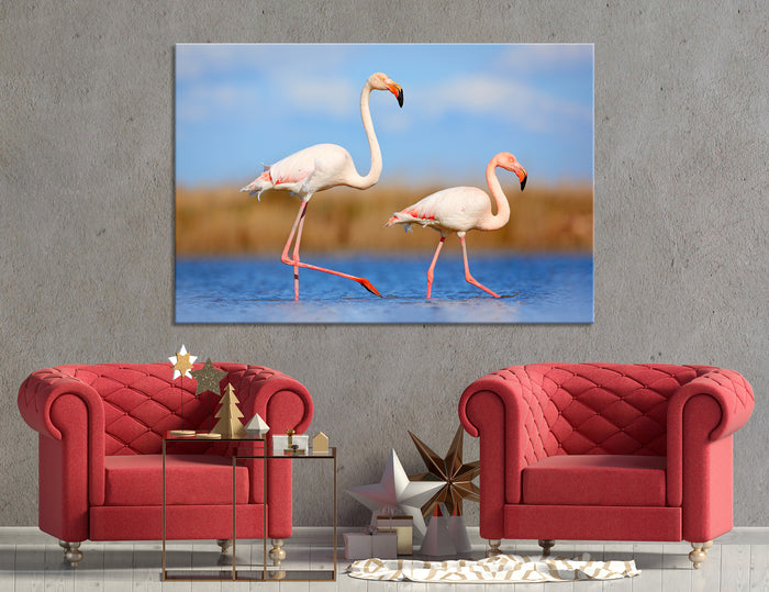 Flamingo Canvas Print #8010