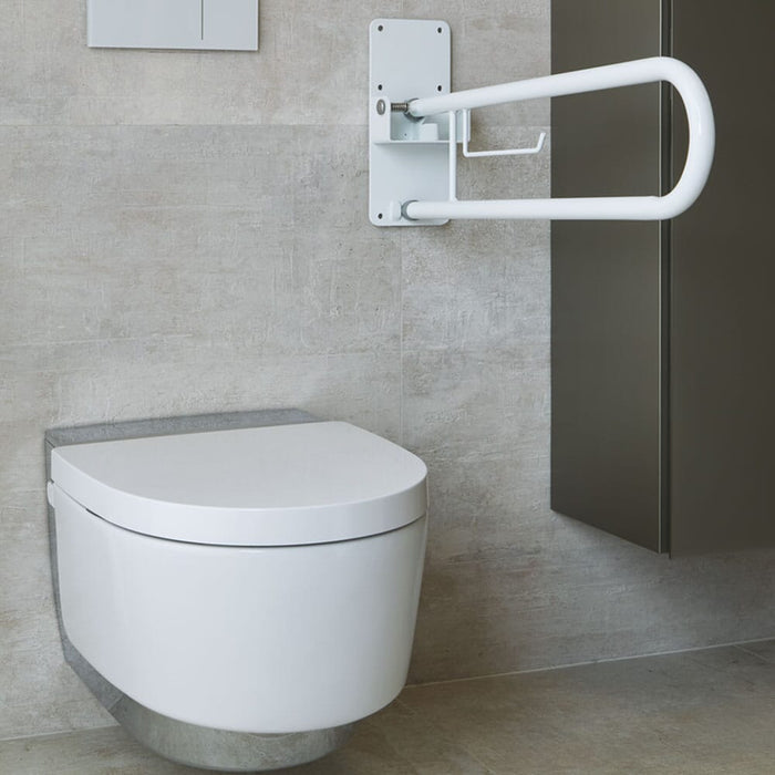 Folding Toilet Support Rail