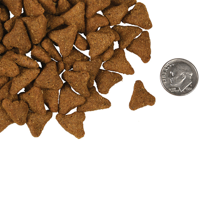 Four Star Grain Free Whitefish & Potato kibble size compared to a dime.