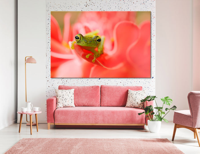 Frog Canvas Print #8054