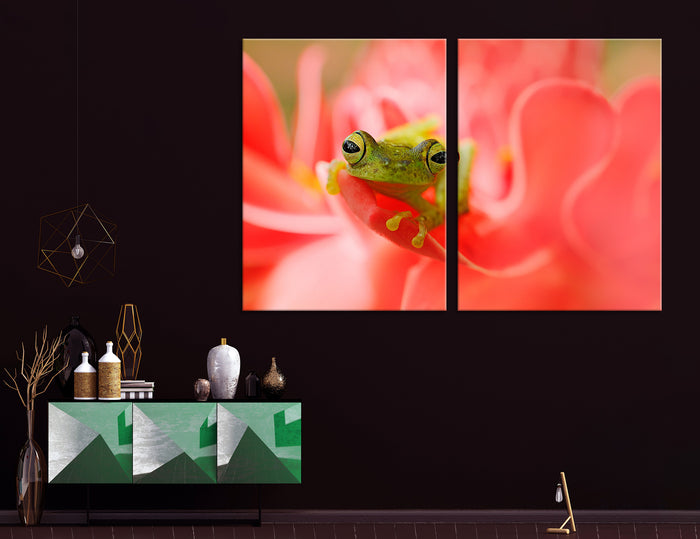 Frog Canvas Print #8054