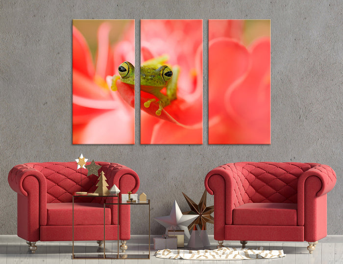 Frog Canvas Print #8054