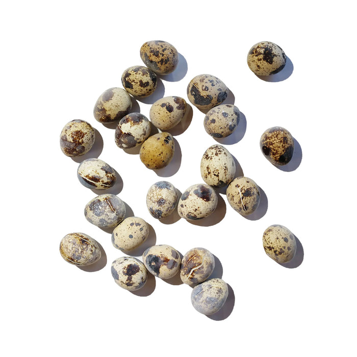 Frozen Raw Quail Eggs 24ct loose.