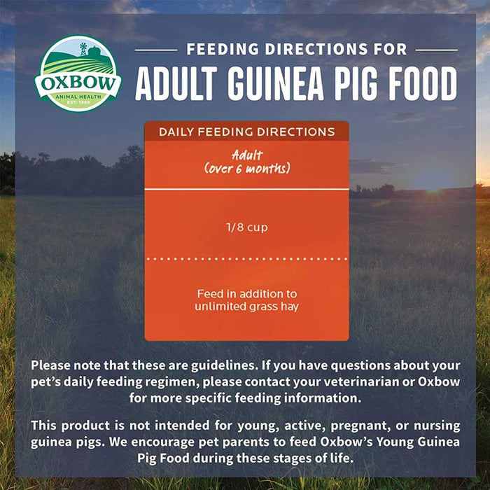 Feeding directions for adult guinea pig food.