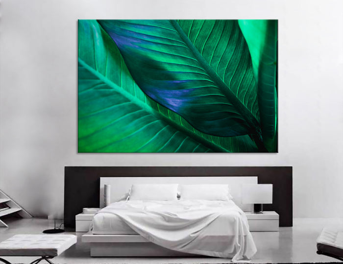 Green leaf Canvas Print #7528