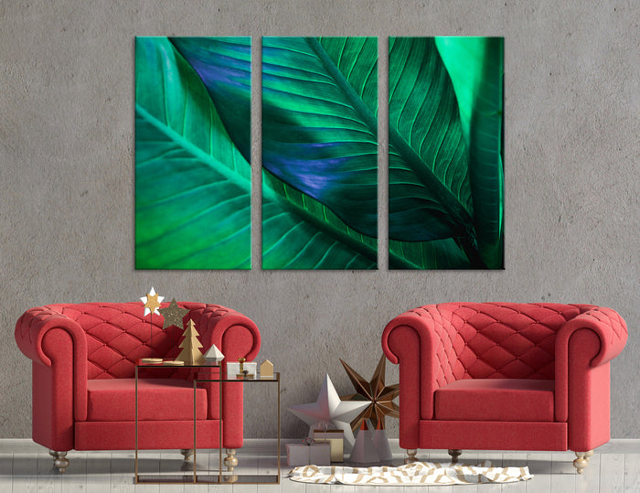 Green leaf Canvas Print #7528