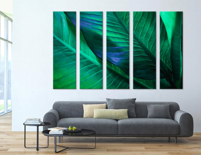 Green leaf Canvas Print #7528