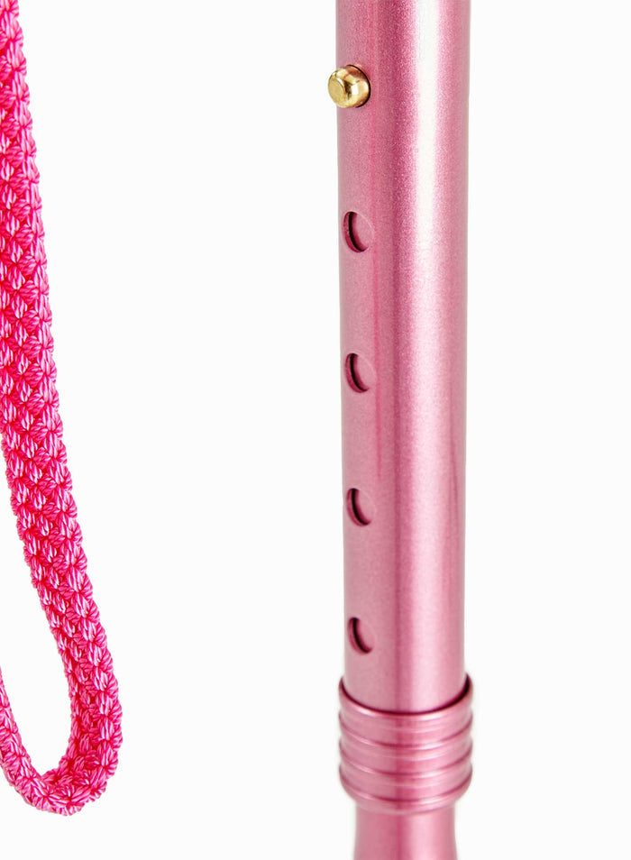 Harmony Walking Stick