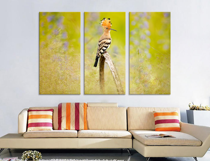 Hoopoe Canvas Print #8031