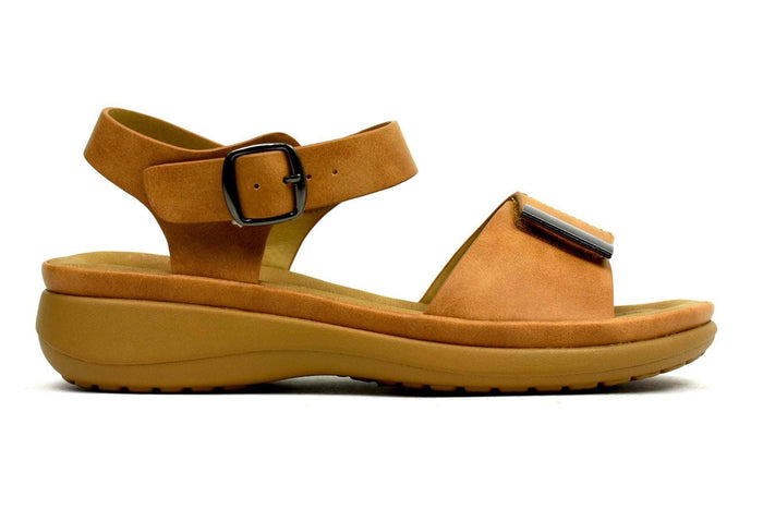 8 / Camel